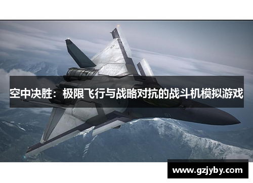 空中决胜：极限飞行与战略对抗的战斗机模拟游戏